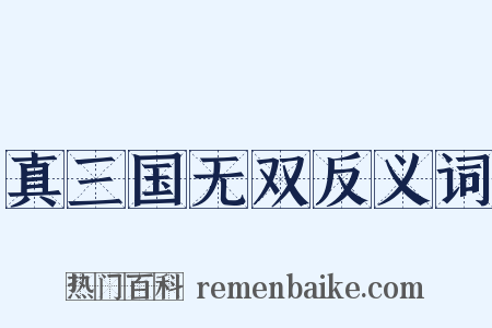 真三国无双反义词是什么意思的图片